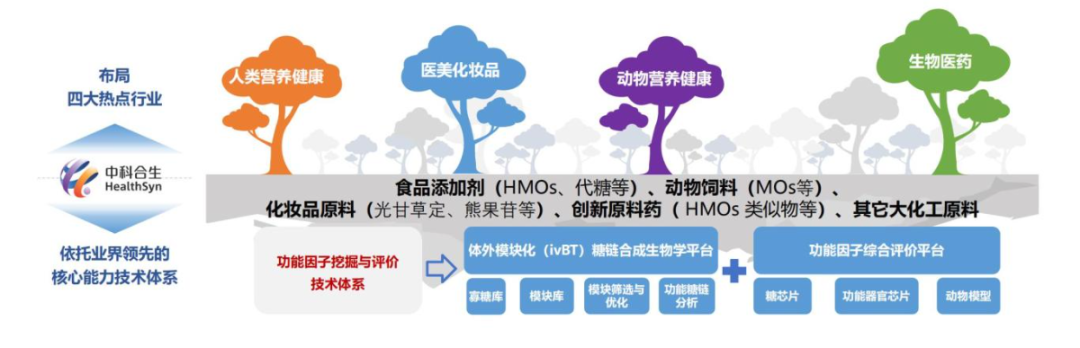 中科合生-基于IVBT模块技术平台的合成生物制造-20250225_13.jpg