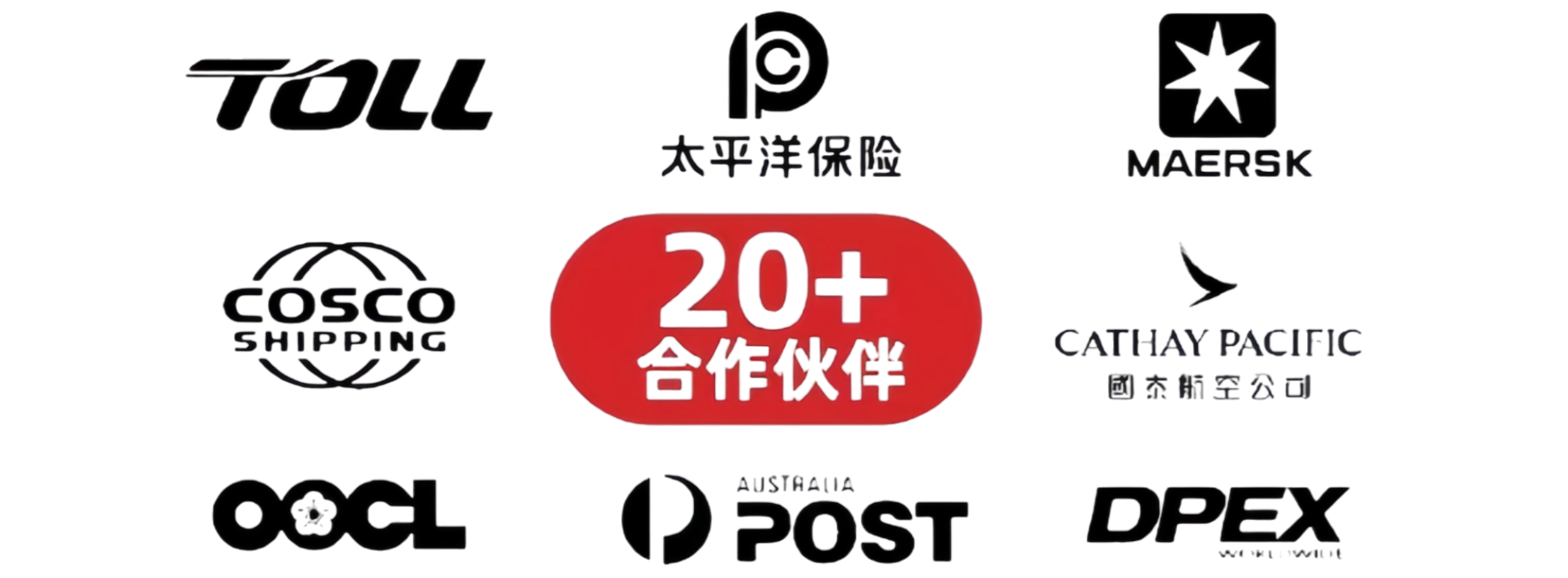 选择行业头部合作伙伴支持