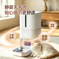 画板4