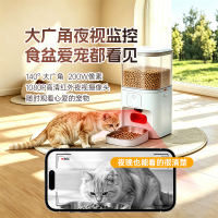 画板2