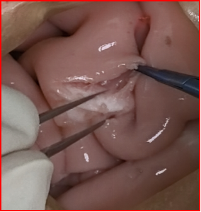 PC-通栏容器06-我们的团队01