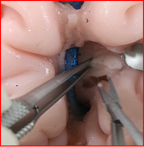 PC-通栏容器06-我们的团队01