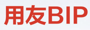 YonBIP