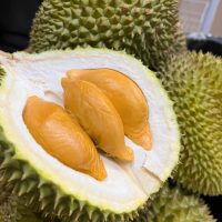 微信图片_20250830143335_162_320