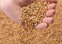 粮食质量安全快检