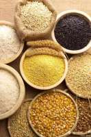 粮食水分、蛋白质、脂肪含量快速检测