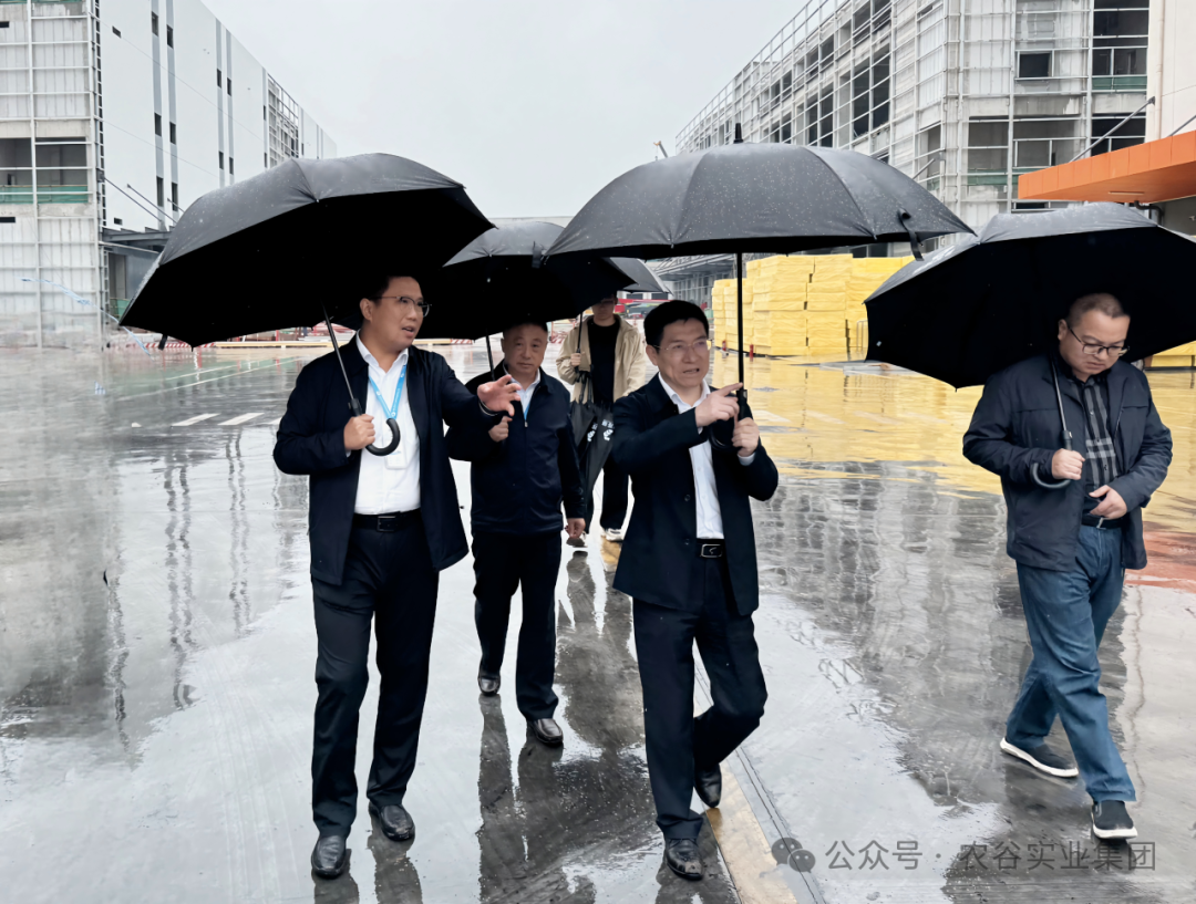 湖北农谷实业集团开展国庆节前安全生产大检查