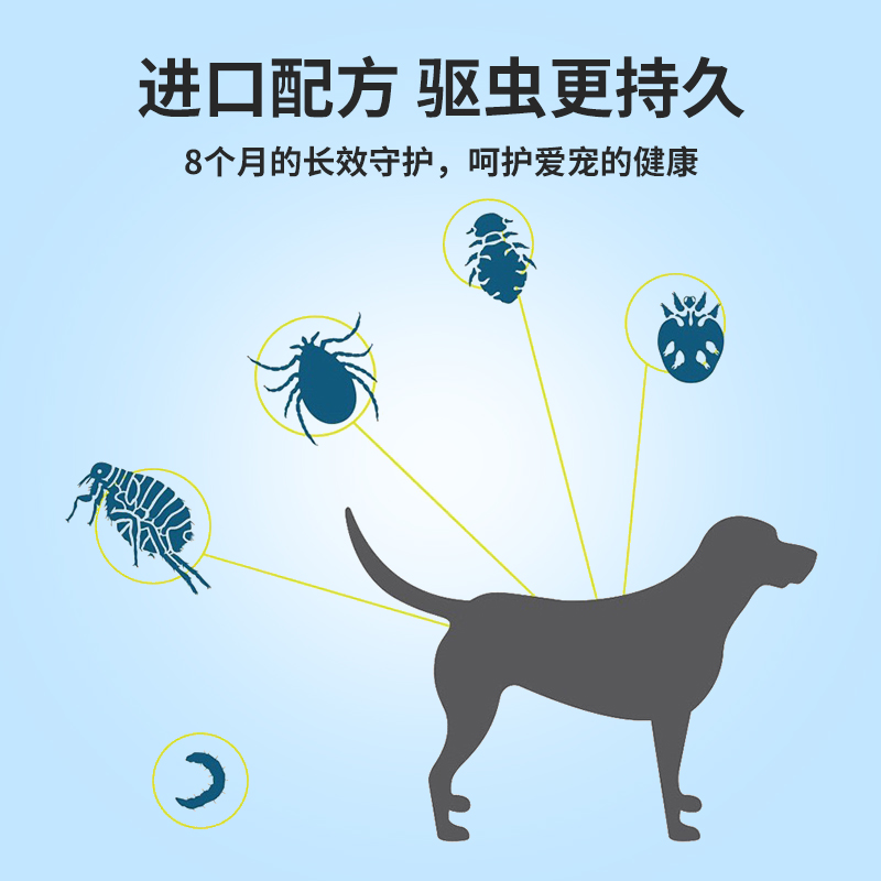 9-大宠项圈主图和详情页-3