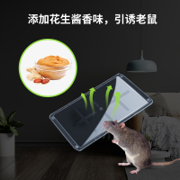 4-老鼠板主图和详情页-中文版-2