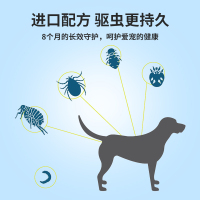 小宠主图和详情页-主图2