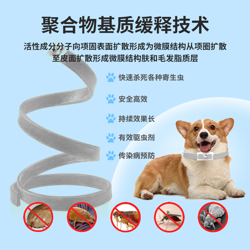 小宠主图和详情页-主图3