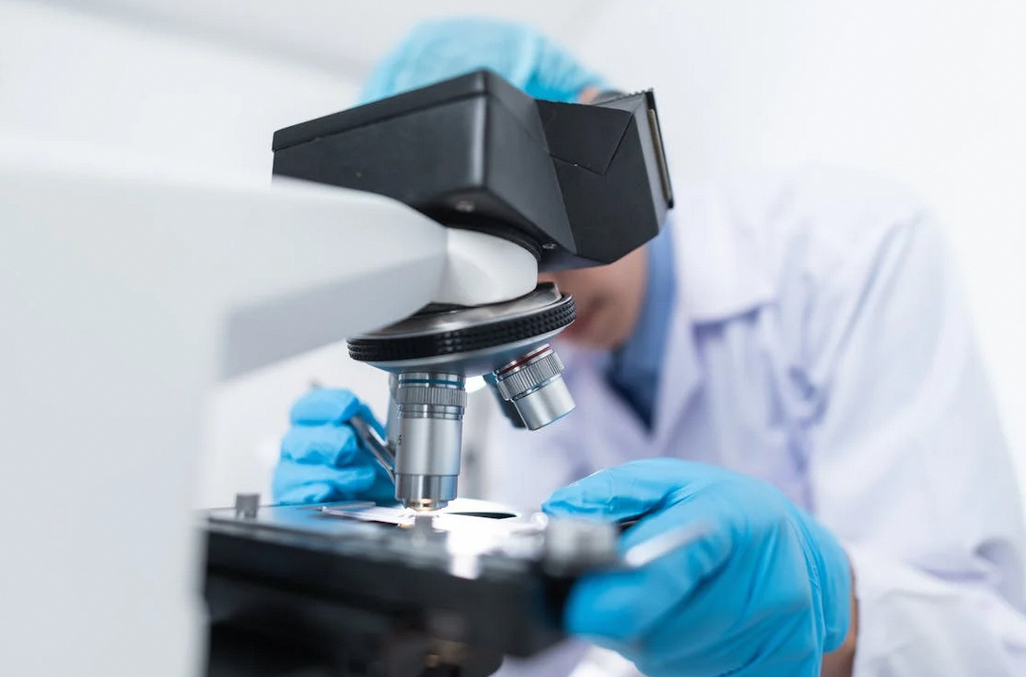 组织活性与分子完整性是肿瘤学基础研究的关键前提和核心保障