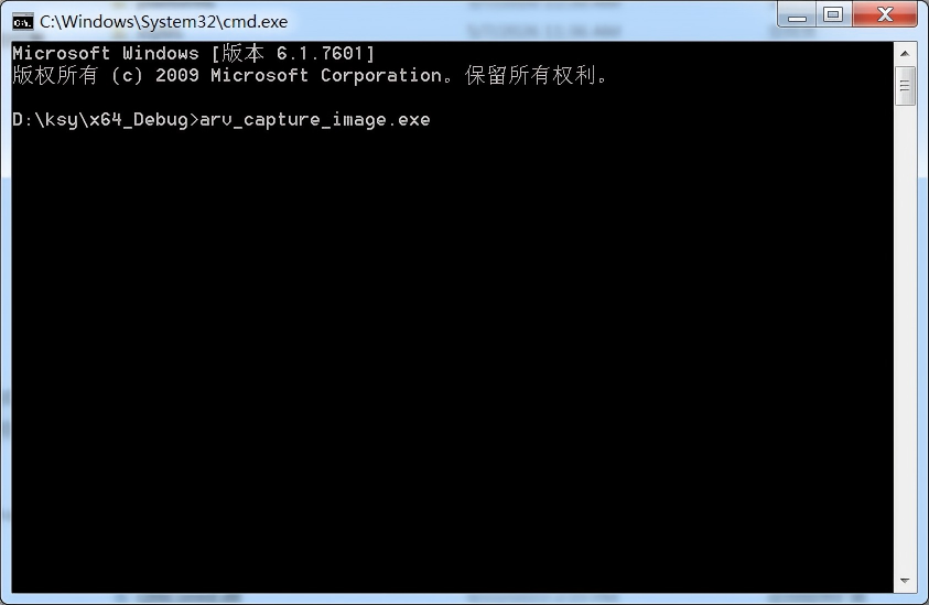 Figure 4-8 Running GenTL SDK Example