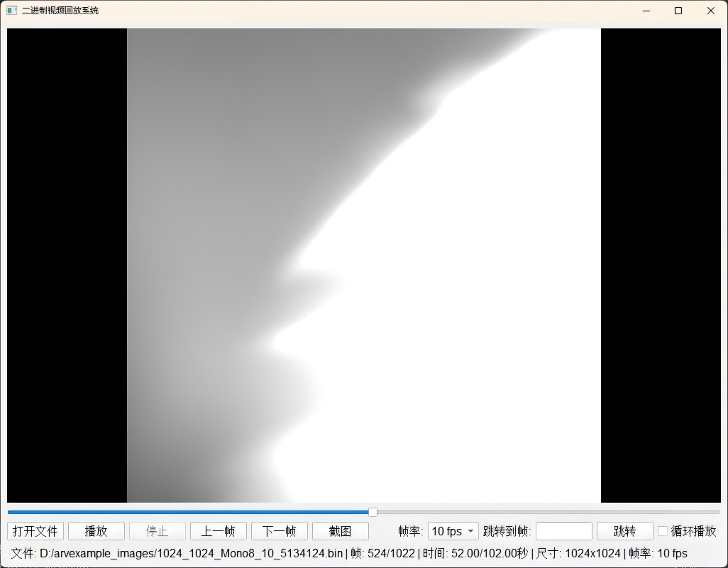 Figure 4-11 Acquired Image Playback GUI