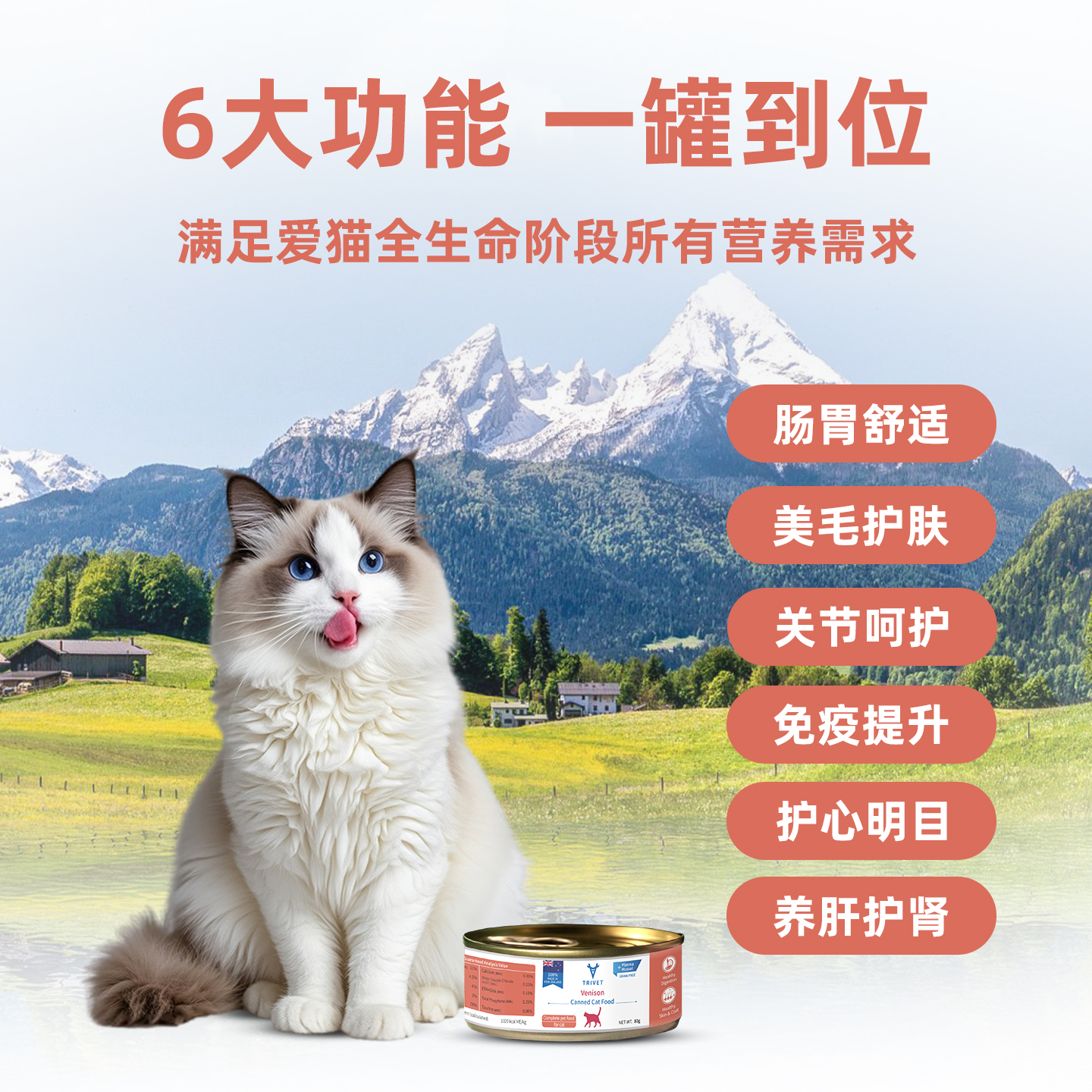 猫罐头鹿肉款主图画板2