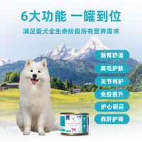 犬罐头羊肉马鲛鱼款主图画板2