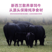 猫罐头牛肉款主图画板1