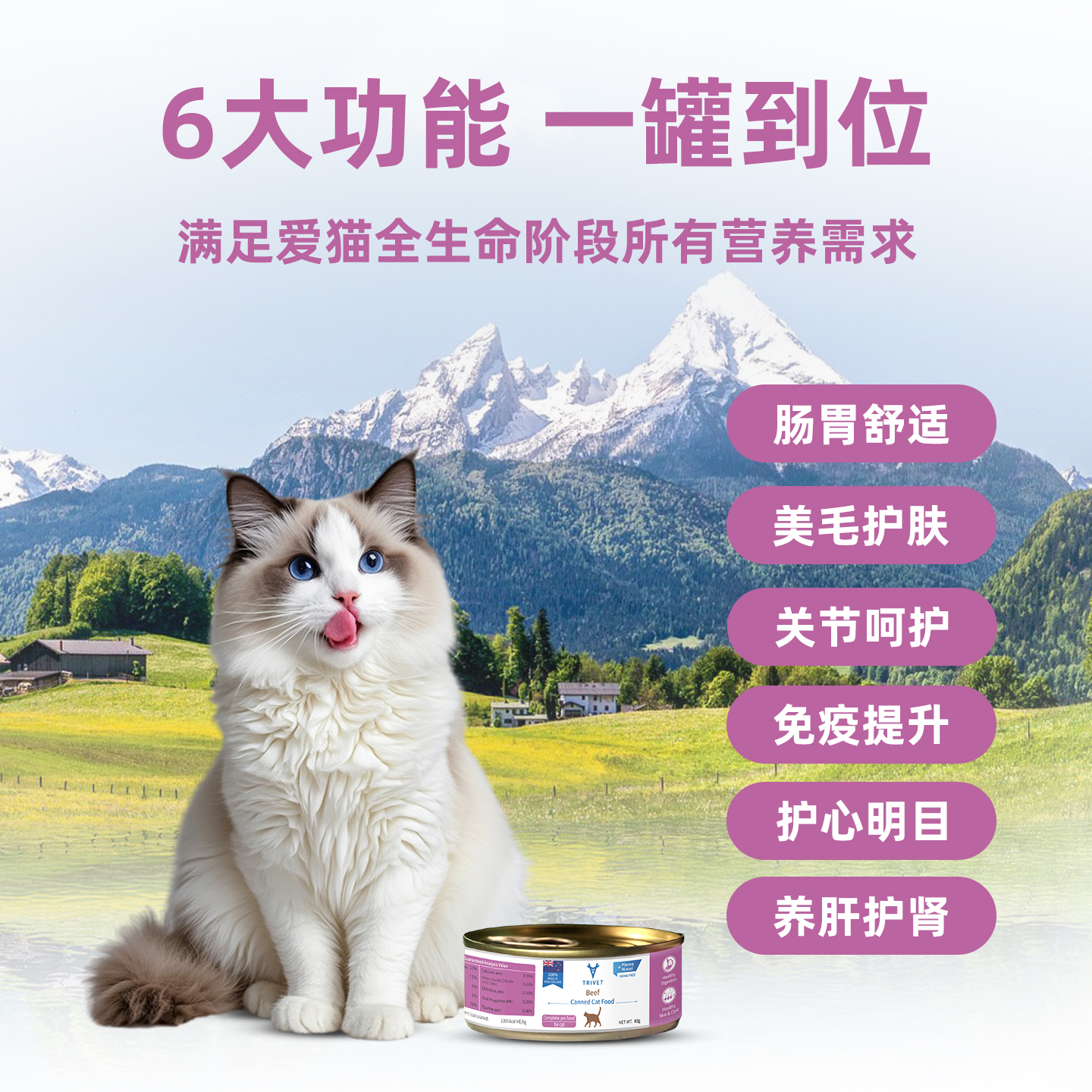猫罐头牛肉款主图画板2