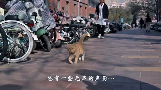 微信图片_20260303104332_270_71