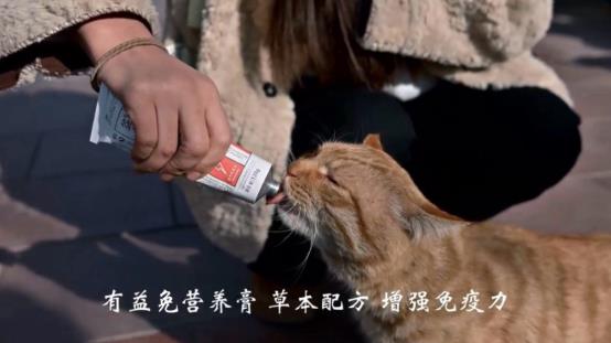 C:/Users/30593/Desktop/爱迪森/微信图片_20260303111448_276_71.jpg微信图片_20260303111448_276_71
