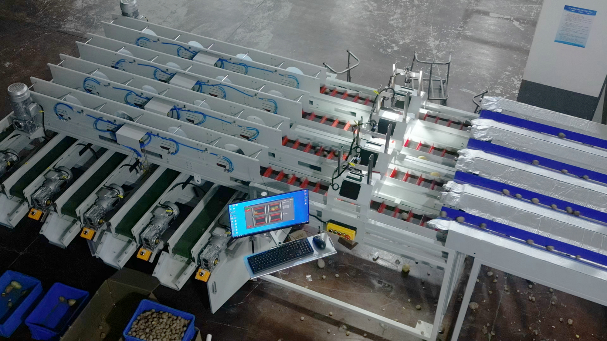 更改后-多通道著类AI尺寸-薯形分选机