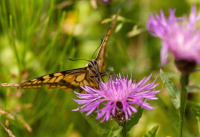 企业微信截图_20260211104024