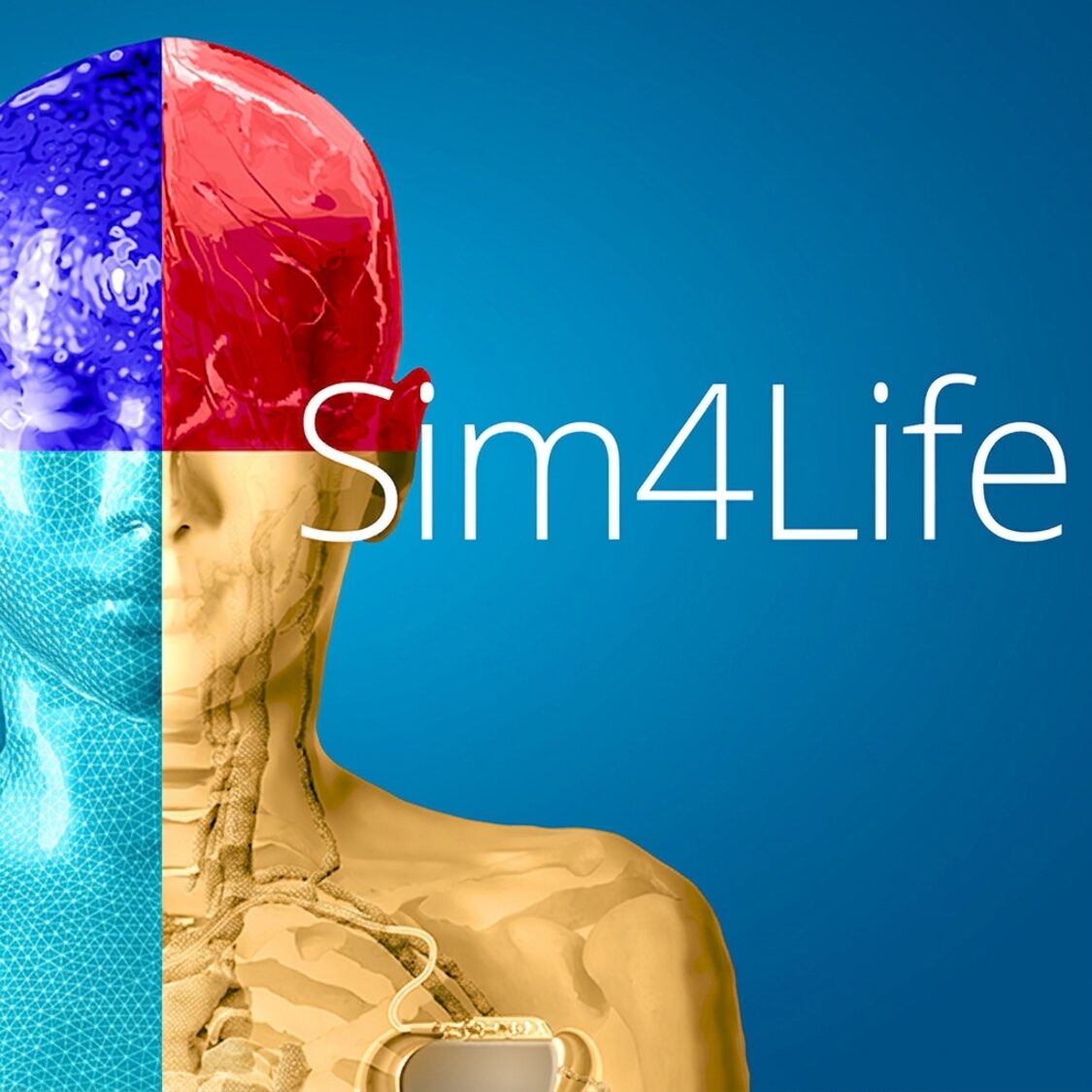 Sim4Life