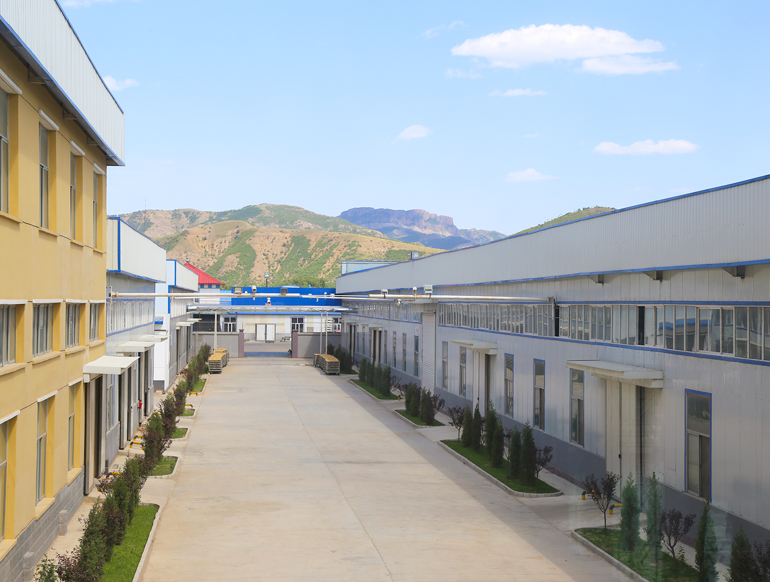 首页| 尊龙Z6(中国集团)官方网站