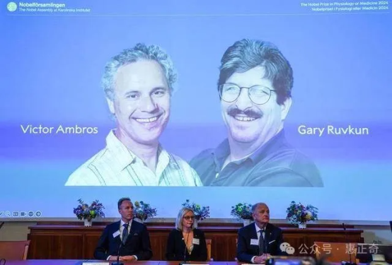 img2