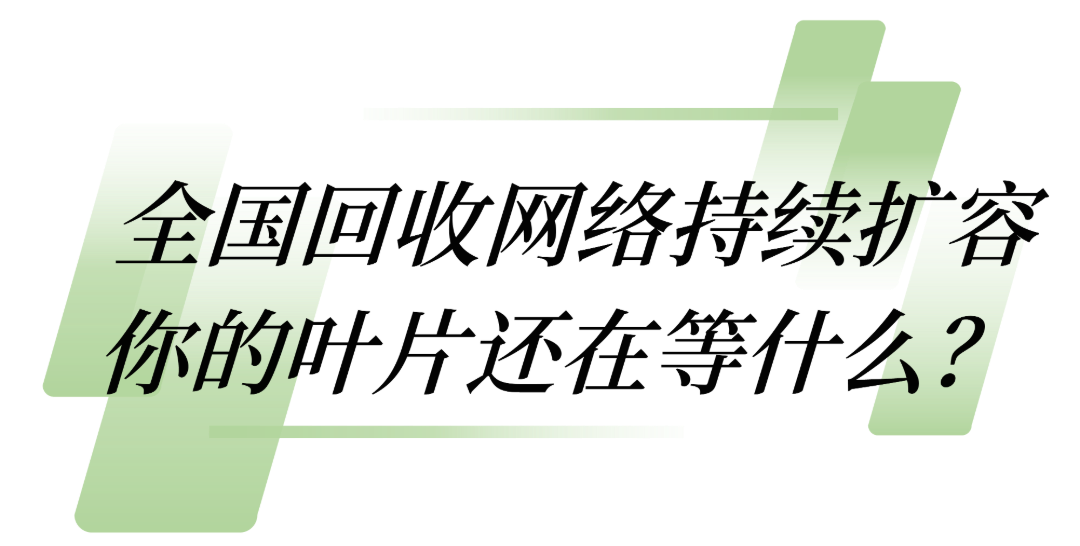 尾版 [已恢复]_画板 1 副本 6.png