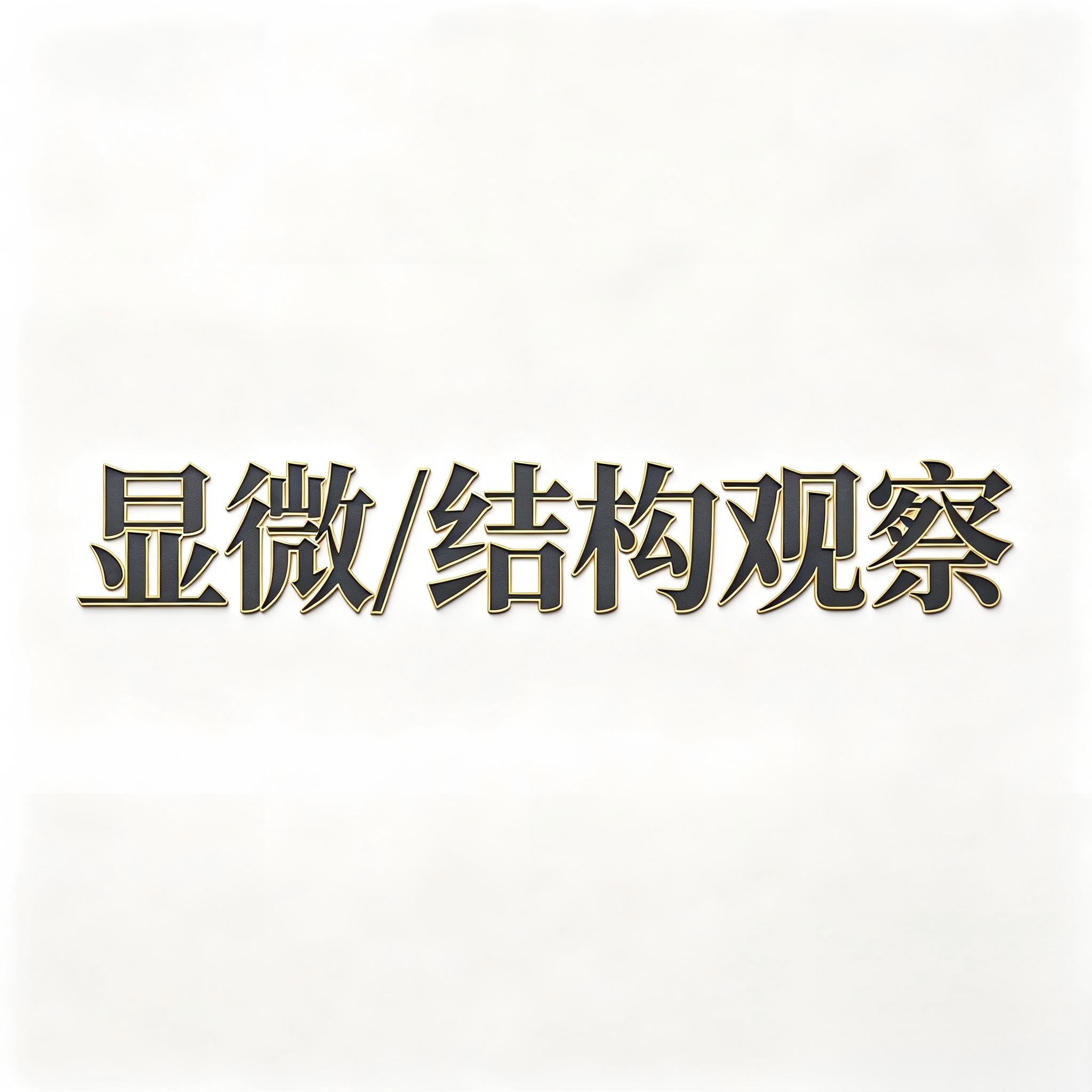 网站