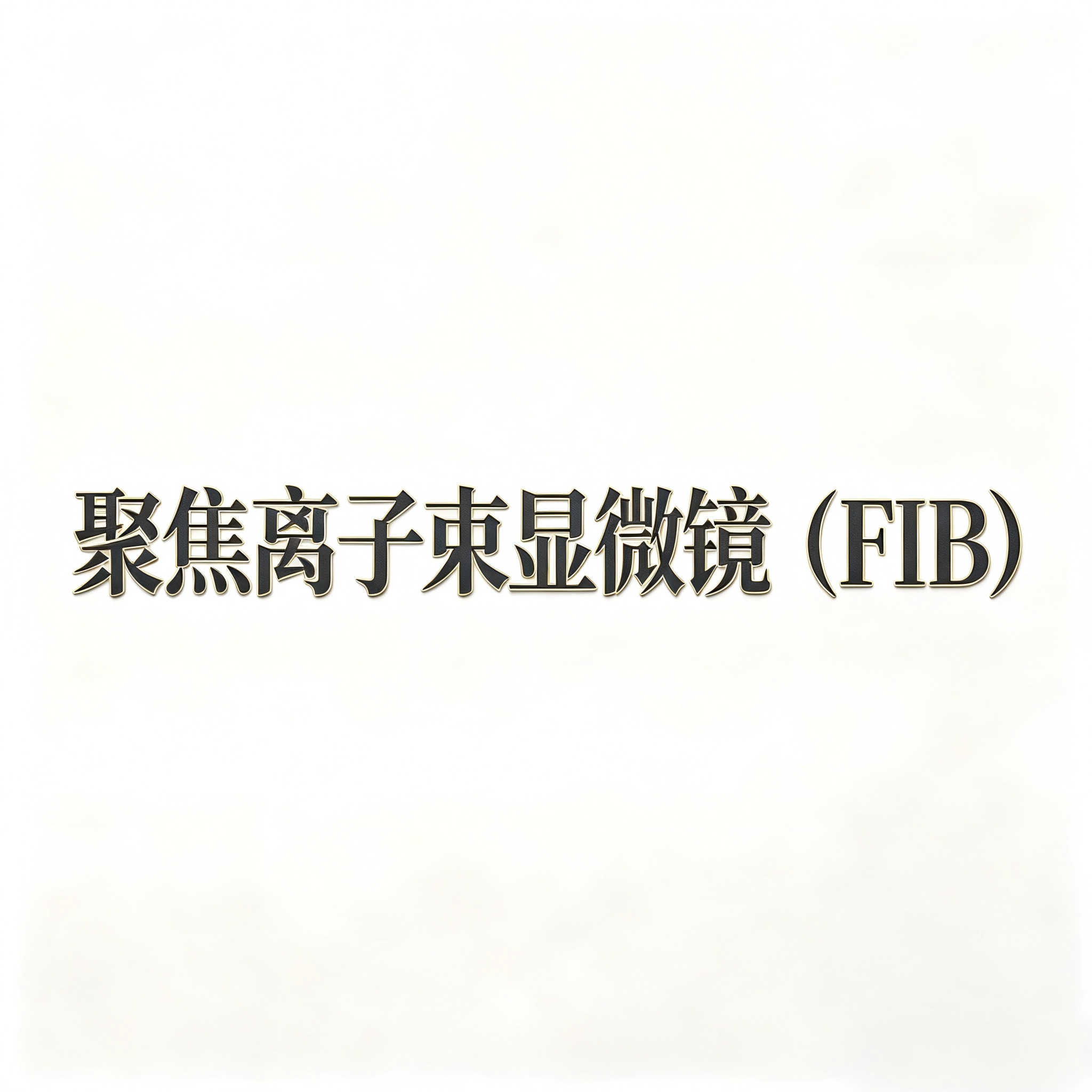 网站