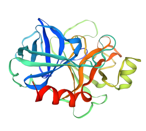 重组胰蛋白酶 （Recombinant Trypsin）