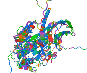 重组双碱性氨基酸内肽酶 Kex2 (Recombinant Kex2 Protease)