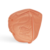 YQ95KN95带阀示意-3