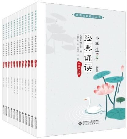图片8