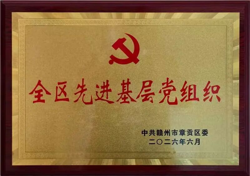 2026全区先进基层党组织.jpg