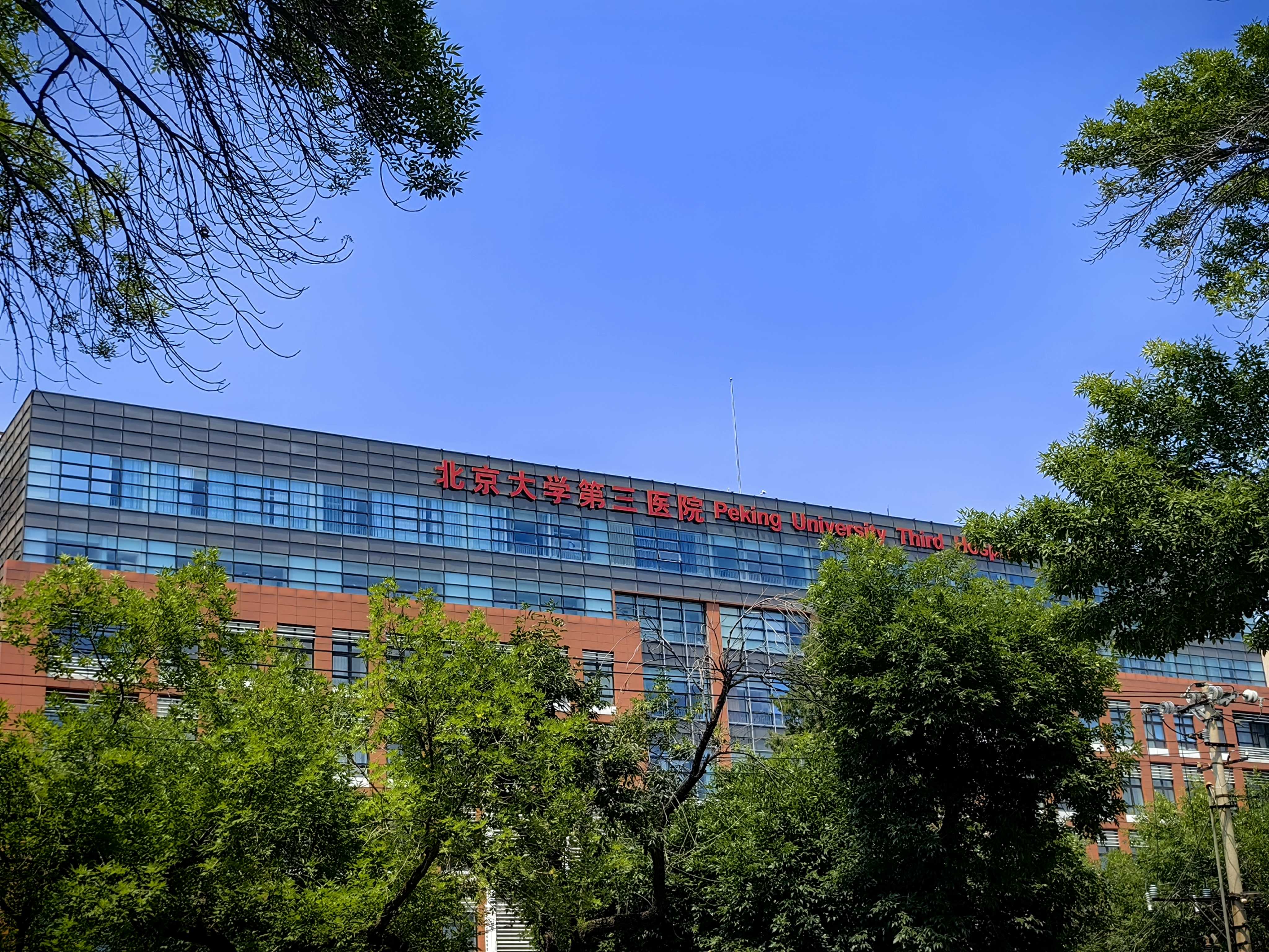 北京大学第三医院