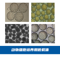 008.动物细胞培养用微载体产品图-c