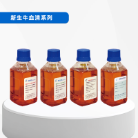 新生牛系列头图