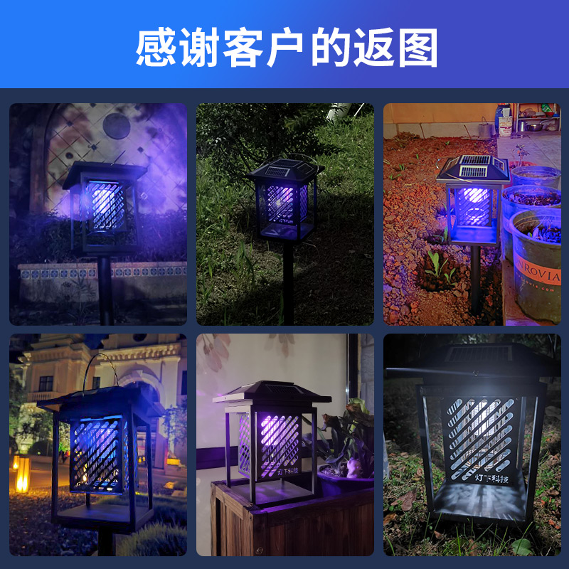 DC1主图效果