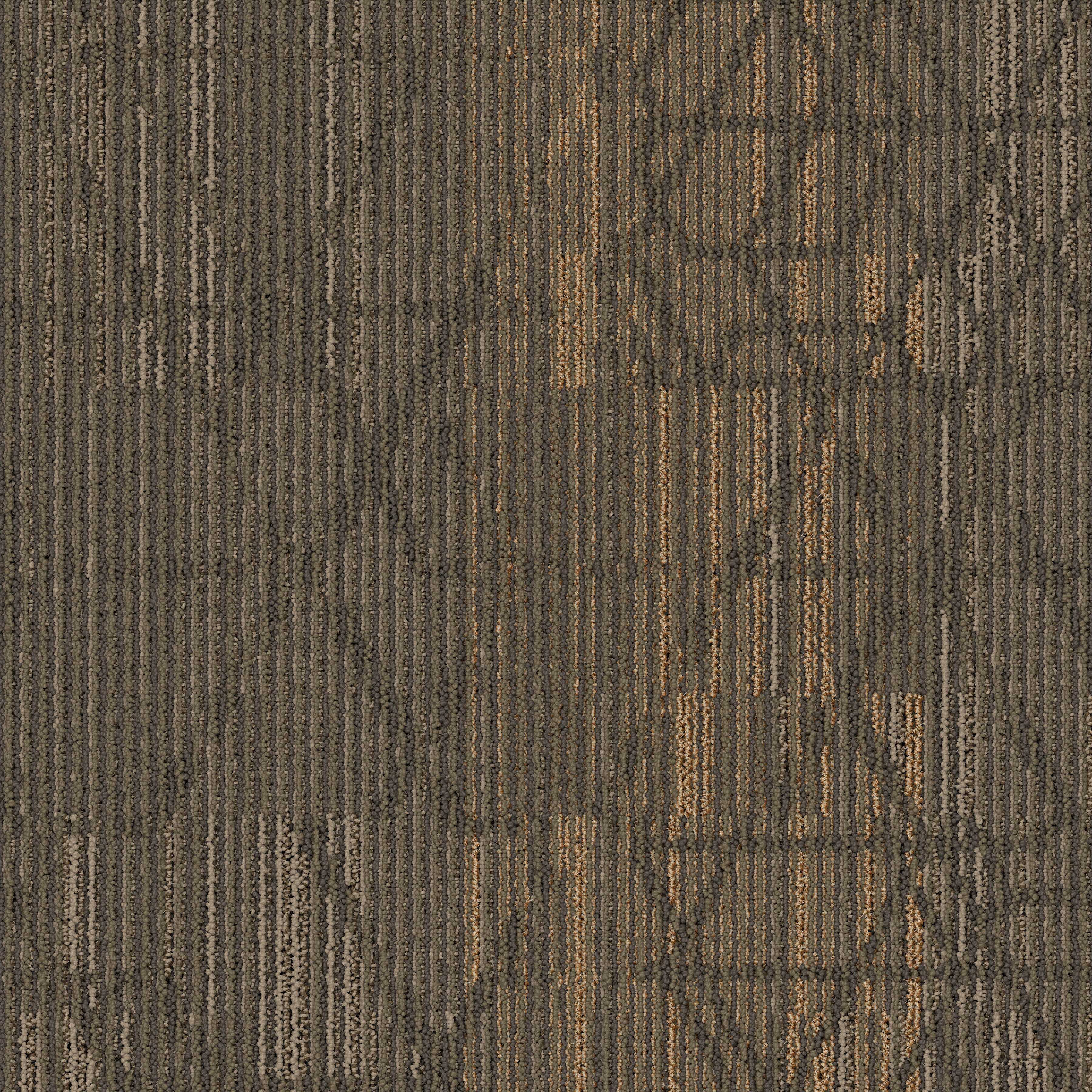 12gC501V_Reconstruct_859Fuse_0001_Layer8
