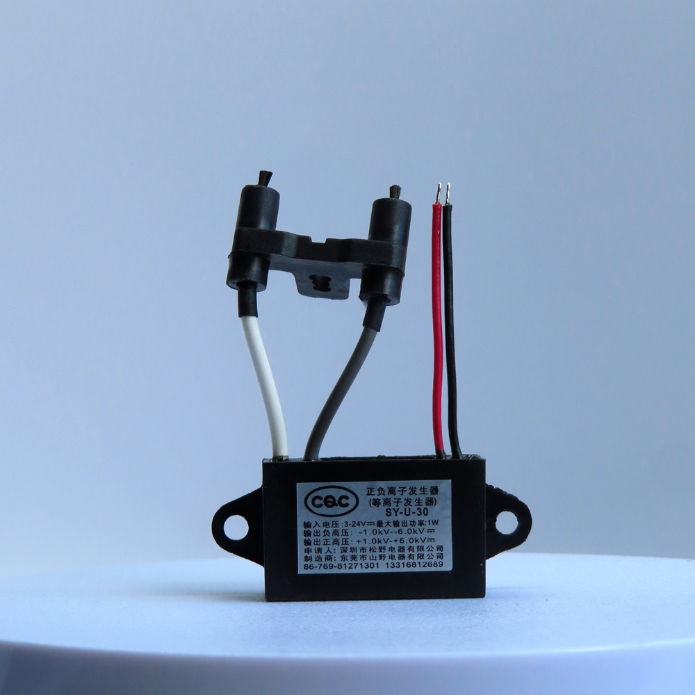 Z12DVS_3753