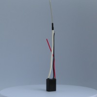 F2ROS_3904