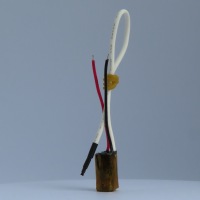 F2RSS_3935