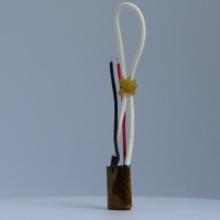 F2RSS_3936