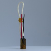 F2RSS_3938
