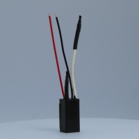 Z2SIS_3819