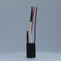 Z2SIS_3820