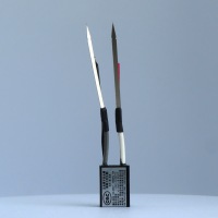 Z2TIS1